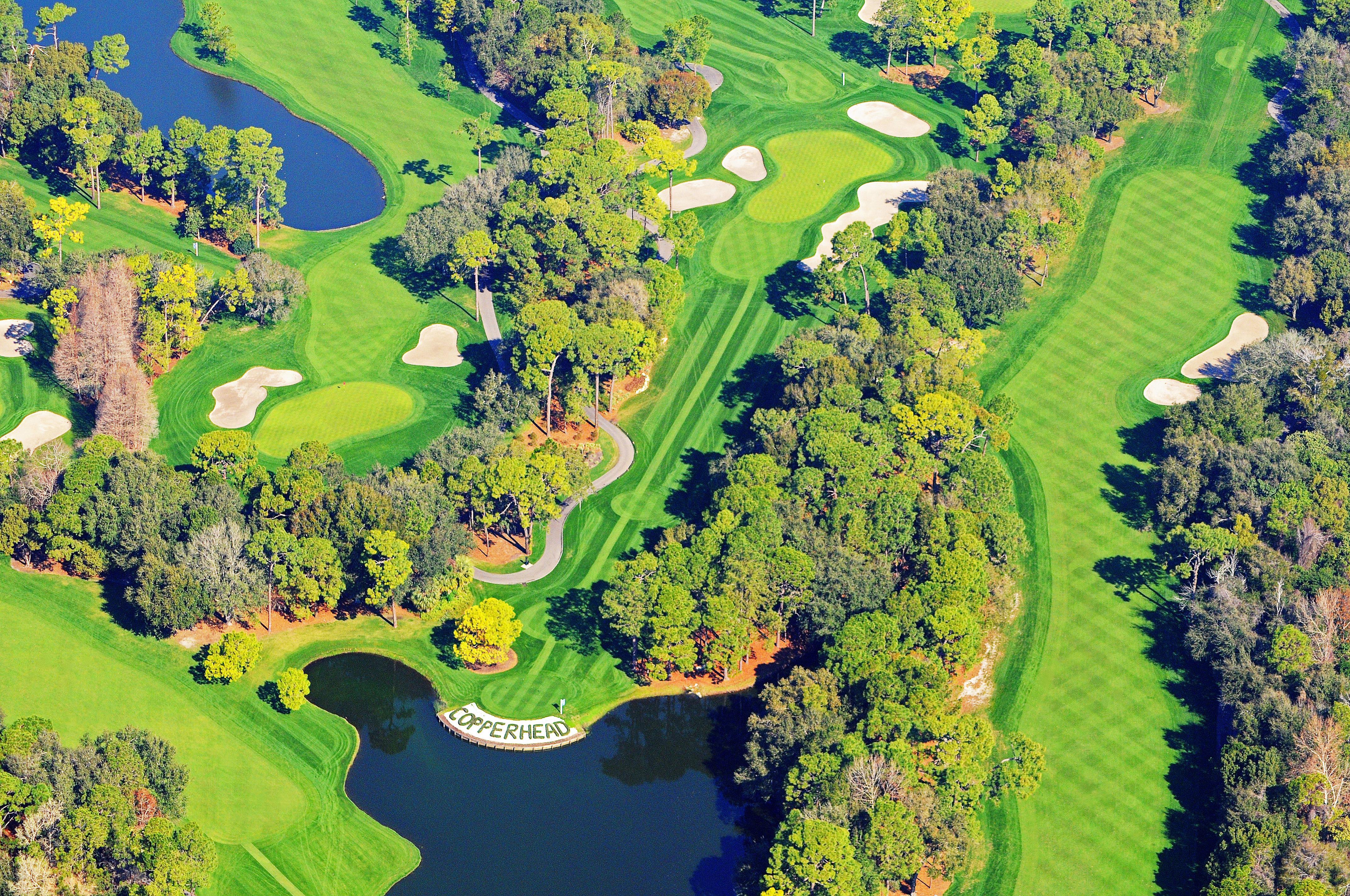 Innisbrook Resort Palm Harbor Exterior foto